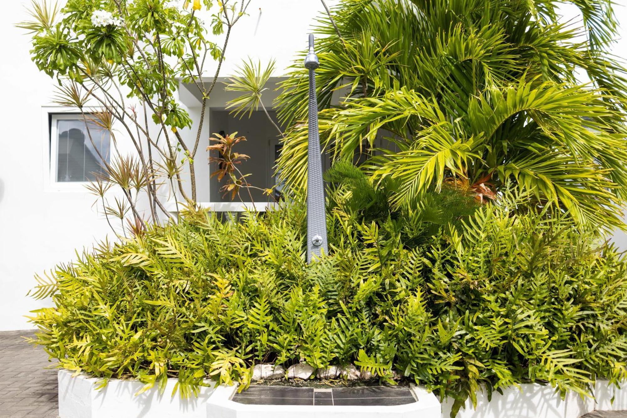 Jan Thiel Palm Crest 아파트 외부 사진